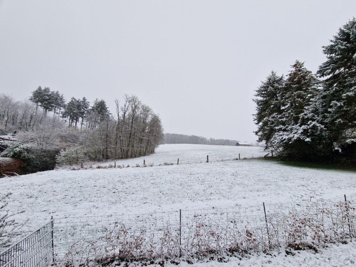 Ferienwohnung Arnsberger Wald Mohnesee Bagian luar foto