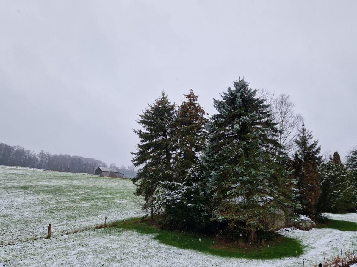 Ferienwohnung Arnsberger Wald Mohnesee Bagian luar foto